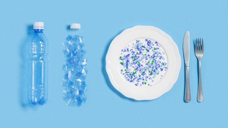 Waspadai Dampak Mikroplastik pada Kesehatan Kita: Ancaman Tak Terlihat – PAFI Kab. Bengkalis